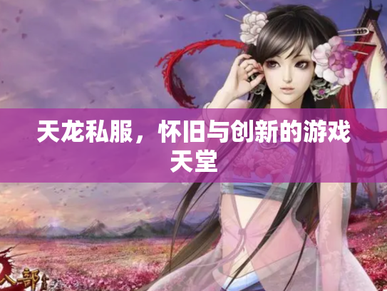 天龙私服，怀旧与创新的游戏天堂