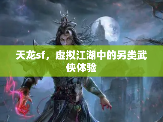 天龙sf，虚拟江湖中的另类武侠体验