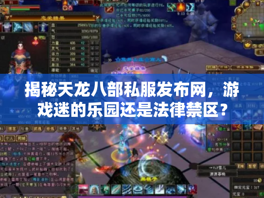 揭秘天龙八部私服发布网，游戏迷的乐园还是法律禁区？
