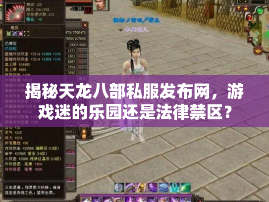 揭秘天龙八部私服发布网，游戏迷的乐园还是法律禁区？
