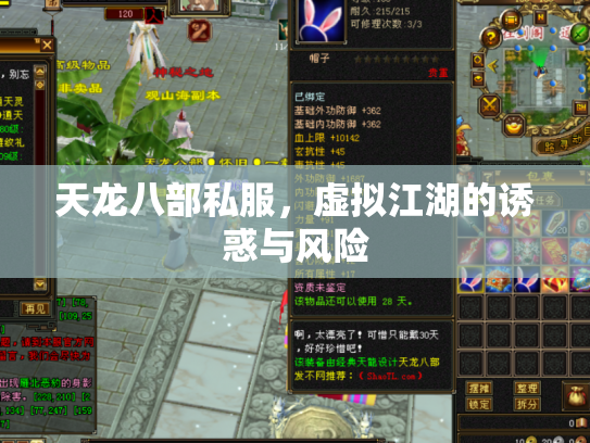 天龙八部私服，虚拟江湖的诱惑与风险