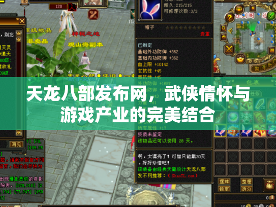 天龙八部发布网，武侠情怀与游戏产业的完美结合