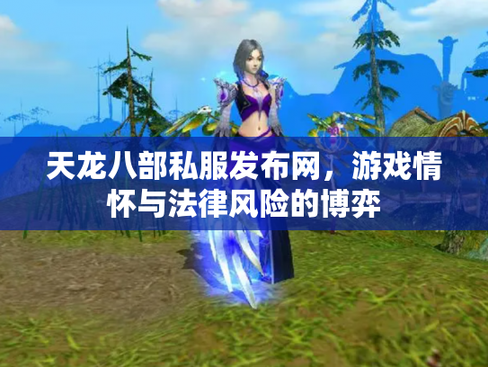 天龙八部私服发布网，游戏情怀与法律风险的博弈
