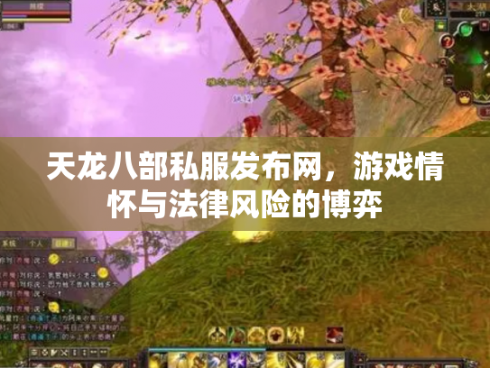 天龙八部私服发布网，游戏情怀与法律风险的博弈