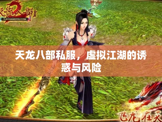 天龙八部私服，虚拟江湖的诱惑与风险