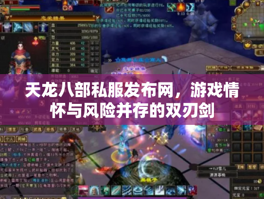 天龙八部私服发布网，游戏情怀与风险并存的双刃剑