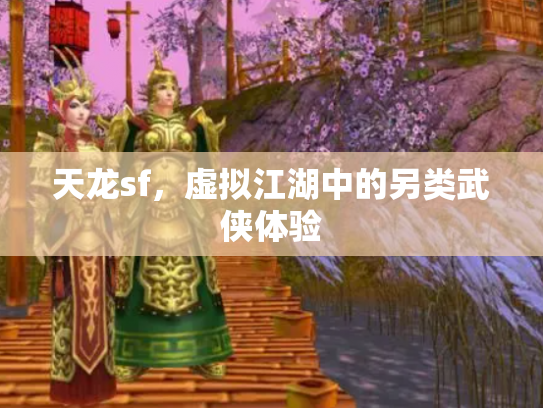 天龙sf，虚拟江湖中的另类武侠体验