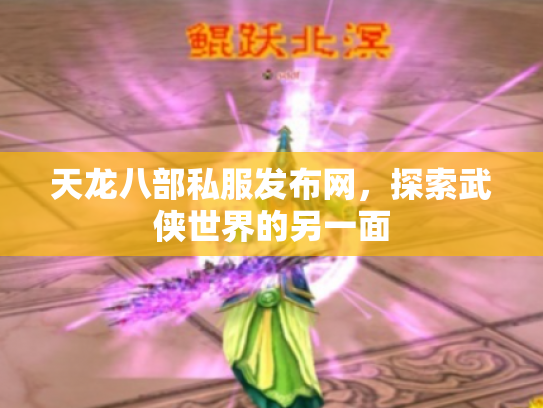 天龙八部私服发布网，探索武侠世界的另一面