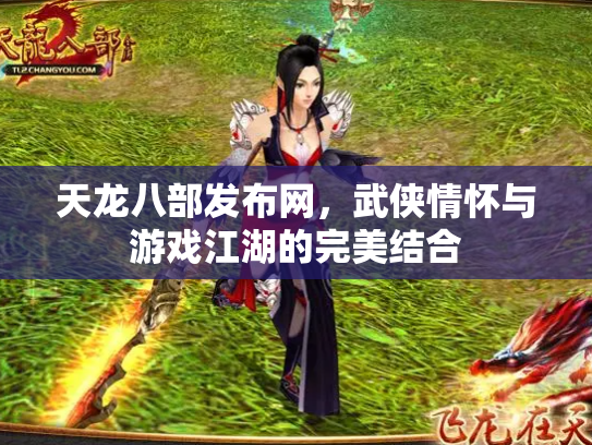 天龙八部发布网，武侠情怀与游戏江湖的完美结合