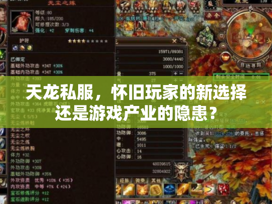 天龙私服，怀旧玩家的新选择还是游戏产业的隐患？