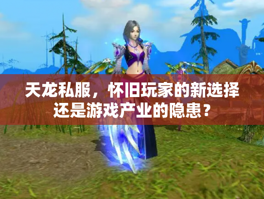 天龙私服，怀旧玩家的新选择还是游戏产业的隐患？