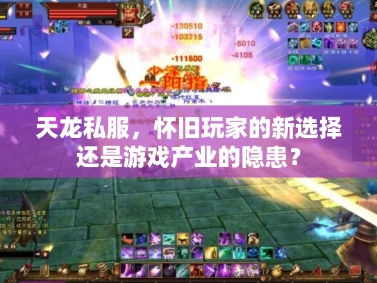 天龙私服，怀旧玩家的新选择还是游戏产业的隐患？