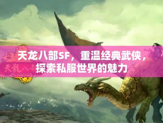 天龙八部SF，重温经典武侠，探索私服世界的魅力