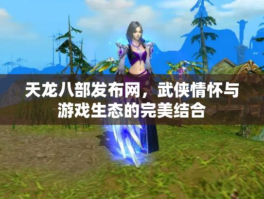 天龙八部发布网，武侠情怀与游戏生态的完美结合