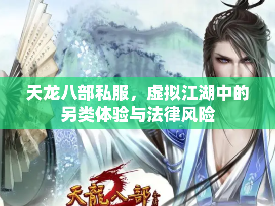 天龙八部私服，虚拟江湖中的另类体验与法律风险