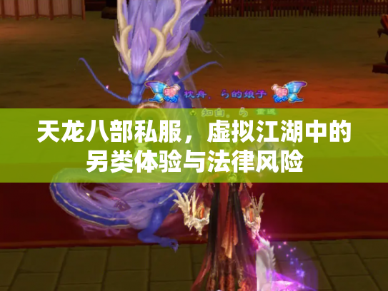 天龙八部私服，虚拟江湖中的另类体验与法律风险