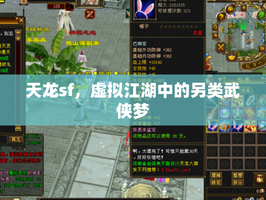 天龙sf，虚拟江湖中的另类武侠梦