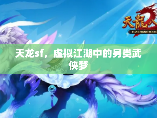 天龙sf，虚拟江湖中的另类武侠梦