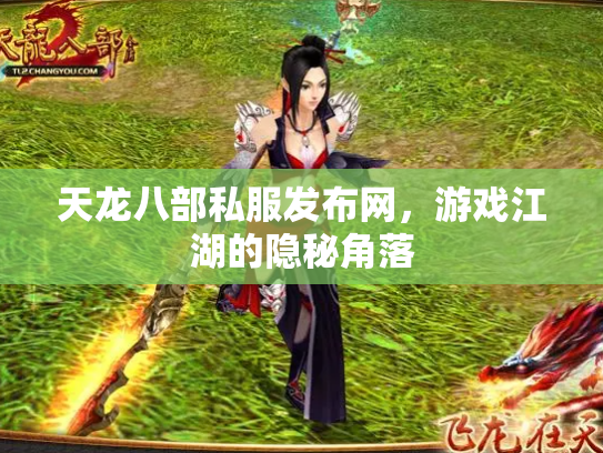 天龙八部私服发布网，游戏江湖的隐秘角落