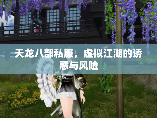 天龙八部私服，虚拟江湖的诱惑与风险