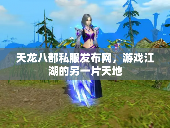 天龙八部私服发布网，游戏江湖的另一片天地