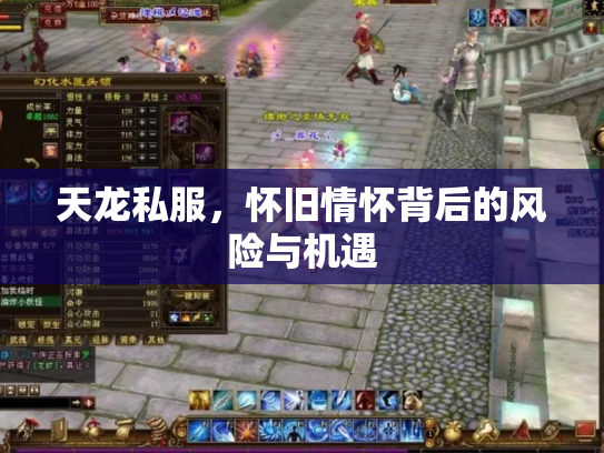 天龙私服，怀旧情怀背后的风险与机遇