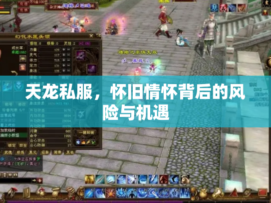 天龙私服，怀旧情怀背后的风险与机遇