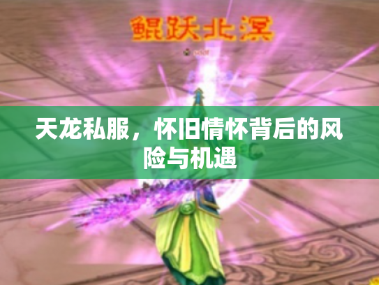 天龙私服，怀旧情怀背后的风险与机遇