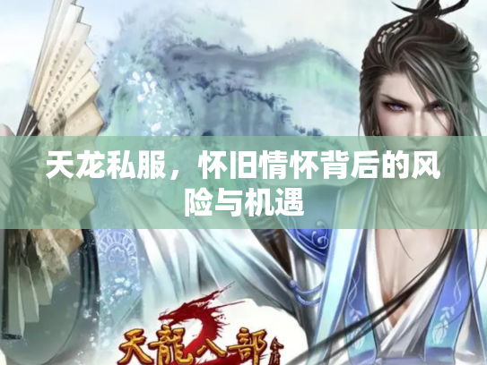 天龙私服，怀旧情怀背后的风险与机遇