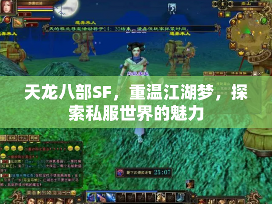 天龙八部SF，重温江湖梦，探索私服世界的魅力