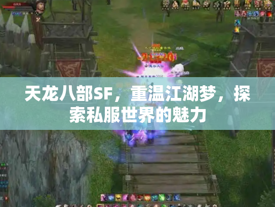 天龙八部SF，重温江湖梦，探索私服世界的魅力