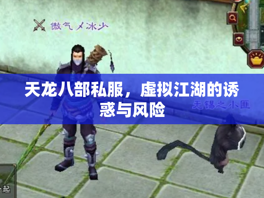 天龙八部私服，虚拟江湖的诱惑与风险