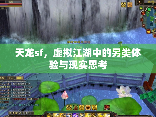 天龙sf，虚拟江湖中的另类体验与现实思考