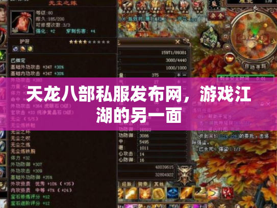天龙八部私服发布网，游戏江湖的另一面