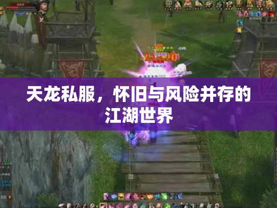 天龙私服，怀旧与风险并存的江湖世界