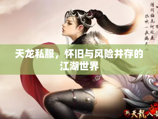 天龙私服，怀旧与风险并存的江湖世界