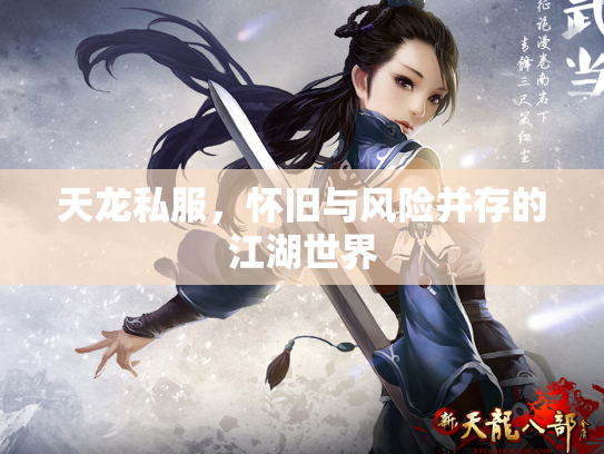 天龙私服，怀旧与风险并存的江湖世界