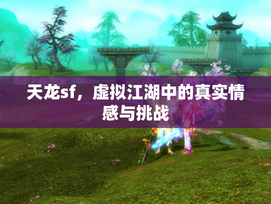 天龙sf，虚拟江湖中的真实情感与挑战