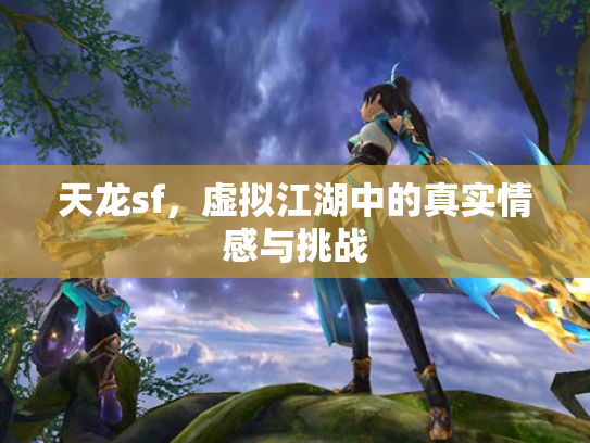 天龙sf，虚拟江湖中的真实情感与挑战