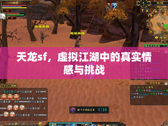 天龙sf，虚拟江湖中的真实情感与挑战
