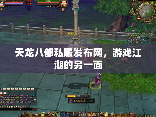 天龙八部私服发布网，游戏江湖的另一面