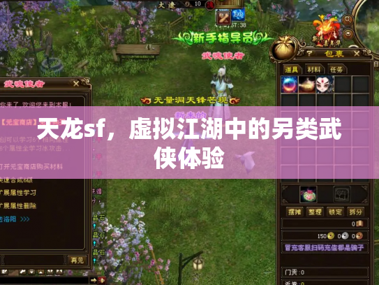 天龙sf，虚拟江湖中的另类武侠体验