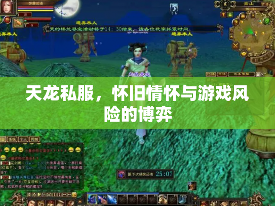 天龙私服，怀旧情怀与游戏风险的博弈