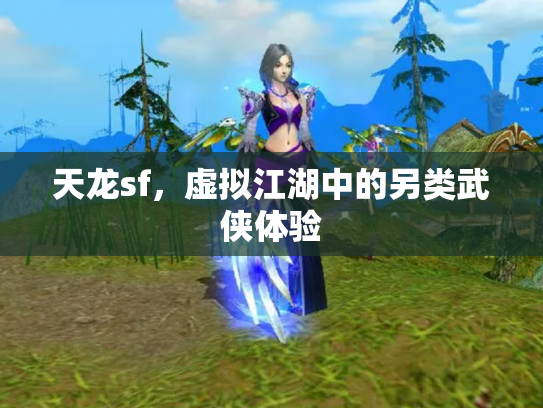 天龙sf，虚拟江湖中的另类武侠体验
