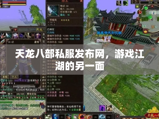 天龙八部私服发布网，游戏江湖的另一面