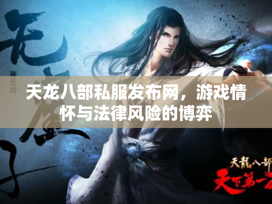天龙八部私服发布网，游戏情怀与法律风险的博弈