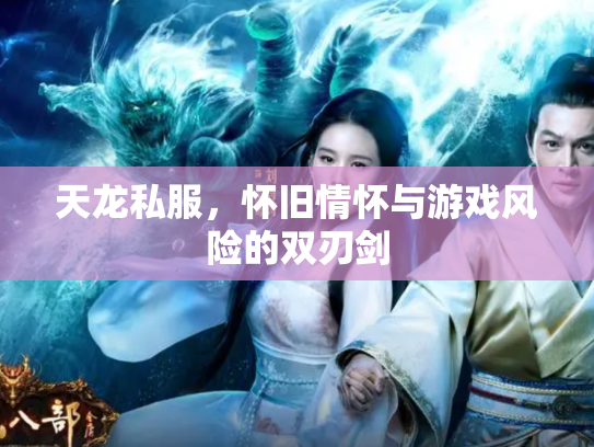 天龙私服，怀旧情怀与游戏风险的双刃剑