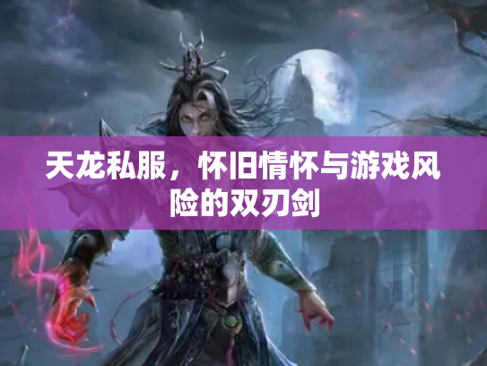 天龙私服，怀旧情怀与游戏风险的双刃剑