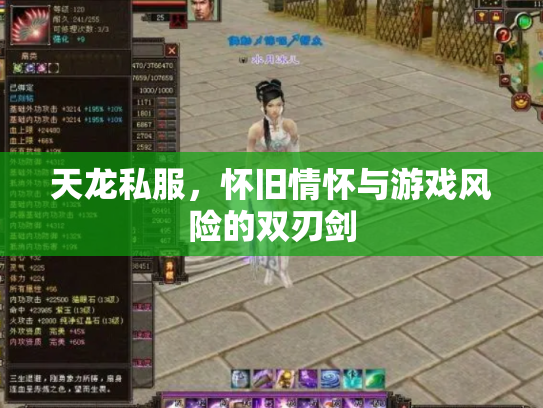 天龙私服，怀旧情怀与游戏风险的双刃剑