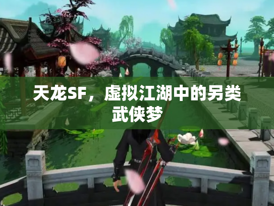 天龙SF，虚拟江湖中的另类武侠梦